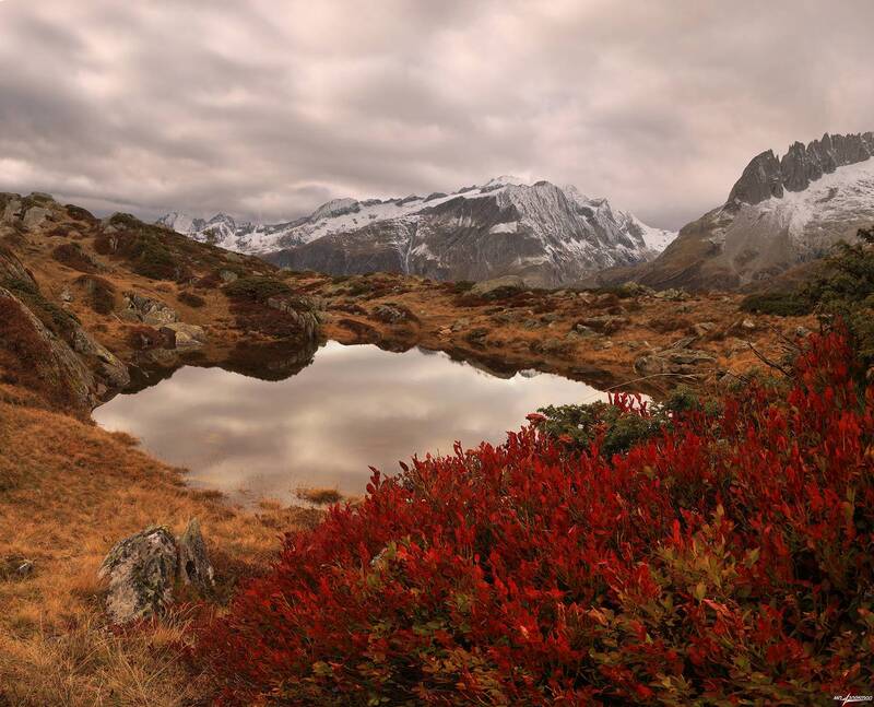 swiss Осень.. фото превью