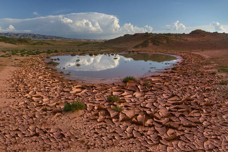 Монголия, монгольский_алтай, Гоби, пески Фототур в Монголию. фото превью
