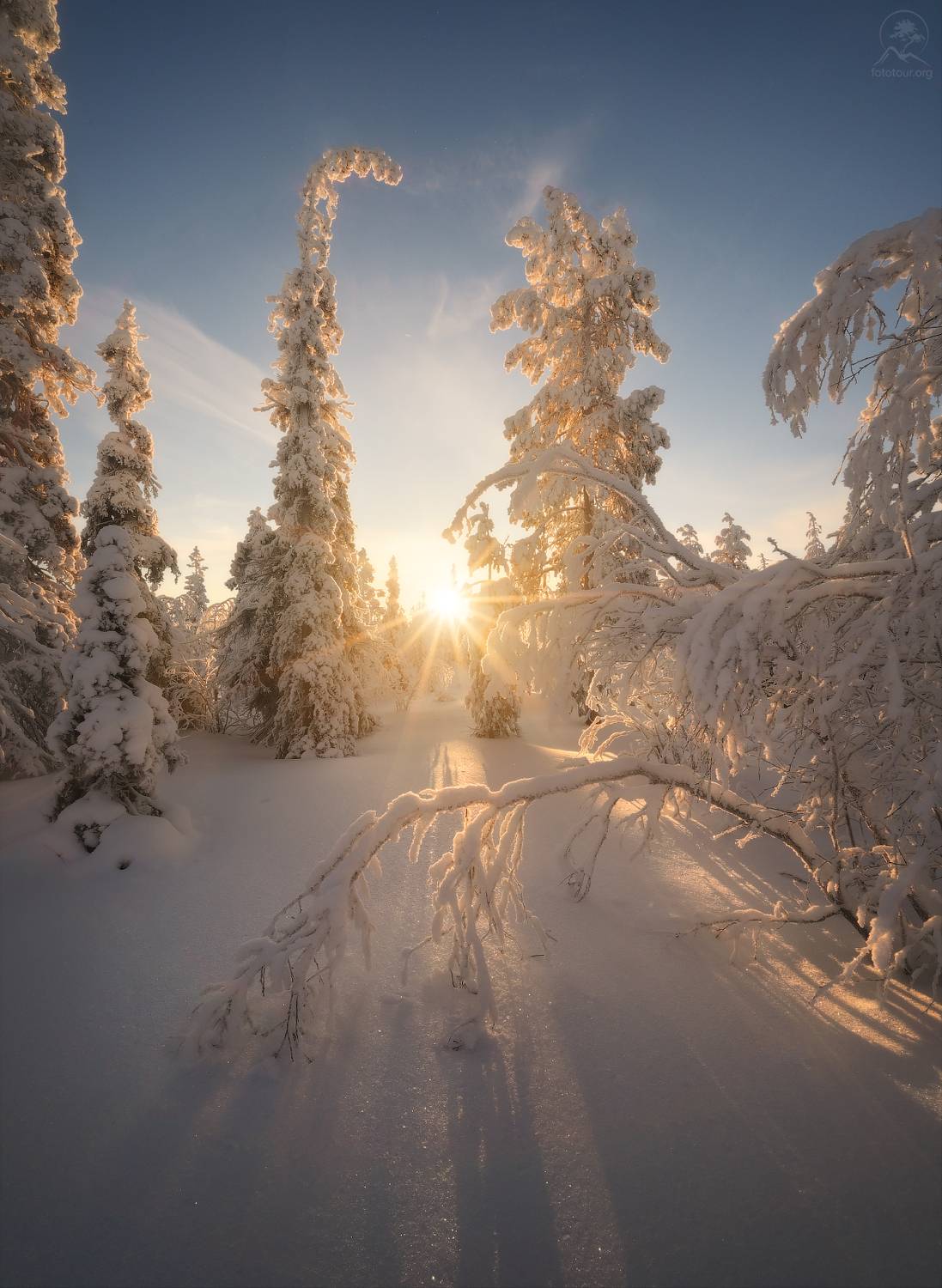 кольский, зима, фототур на кольский, мурманская область, лес, зимний кольский, хибины, Гордиенко Анатолий