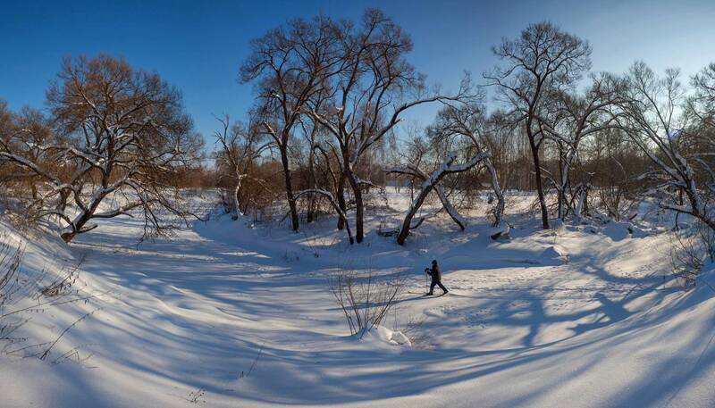 зима, лес, солнце, река Зима на реке. фото превью