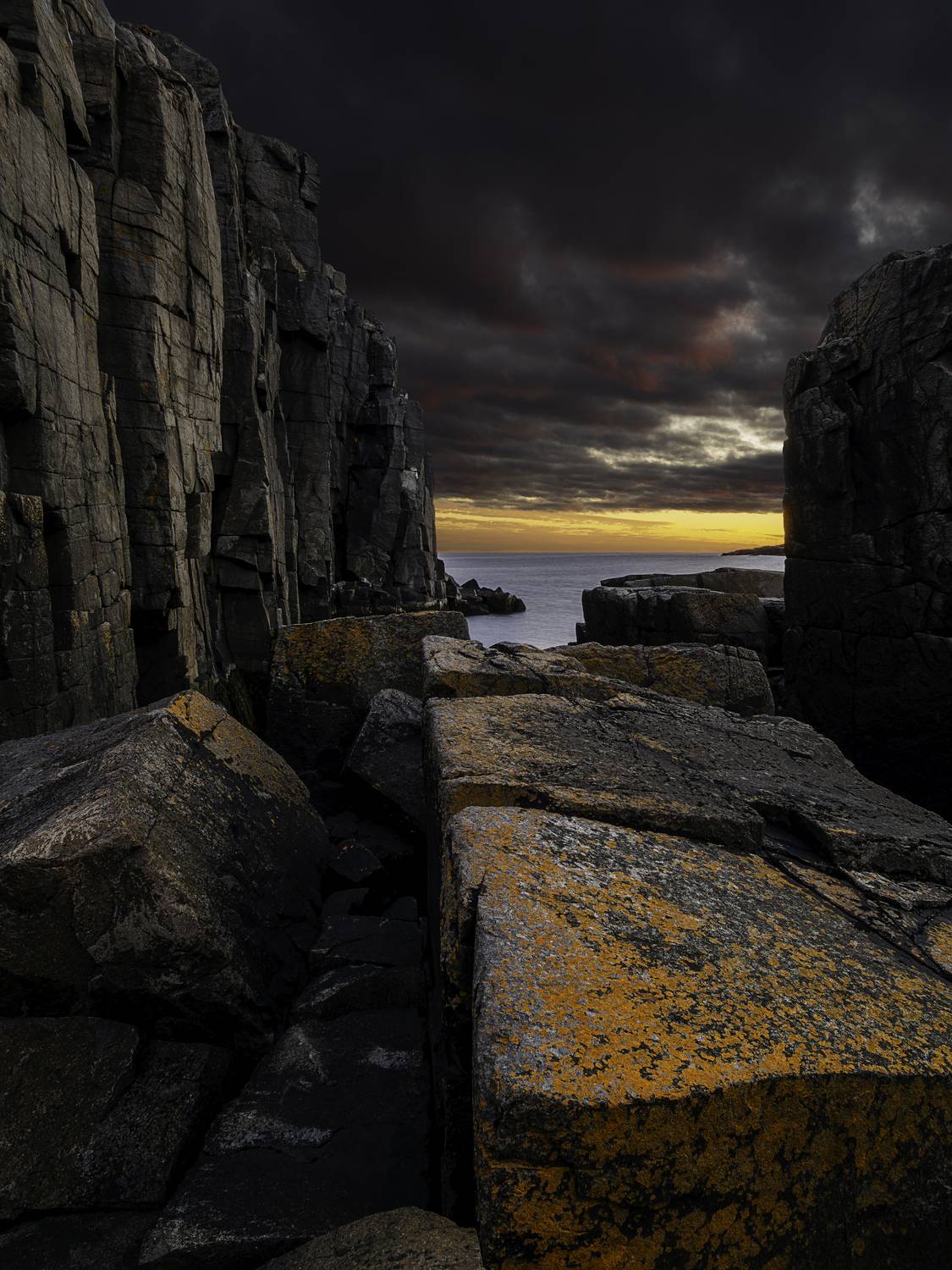 , роман фарберов