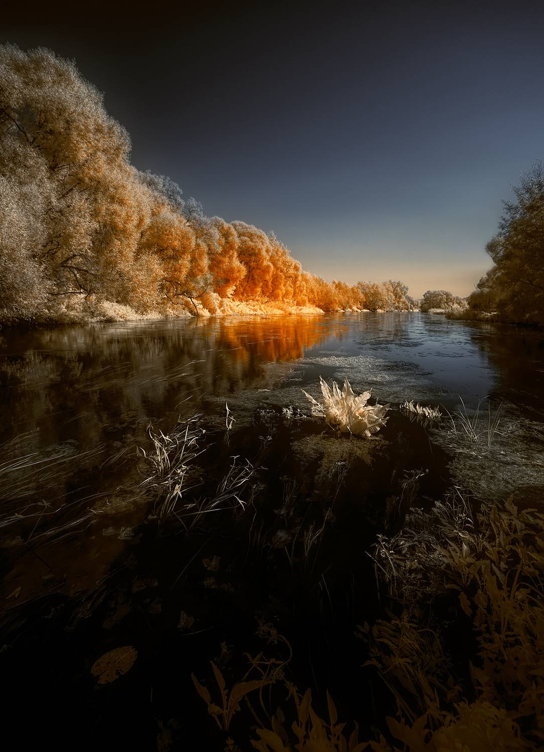 infrared, ик-фото, инфракрасное фото, инфракрасная фотография, пейзаж, осень,  Sixten (Сергей)