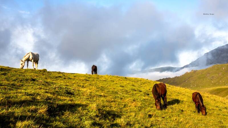 джелы-су, кавказ Природа Приэльбрусья фото превью
