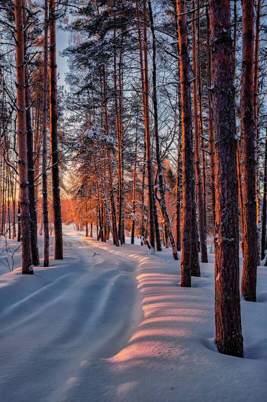 * фото превью