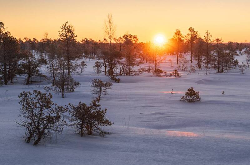 В снегах фото превью