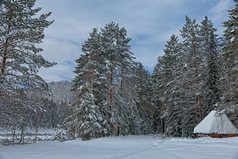фото превью