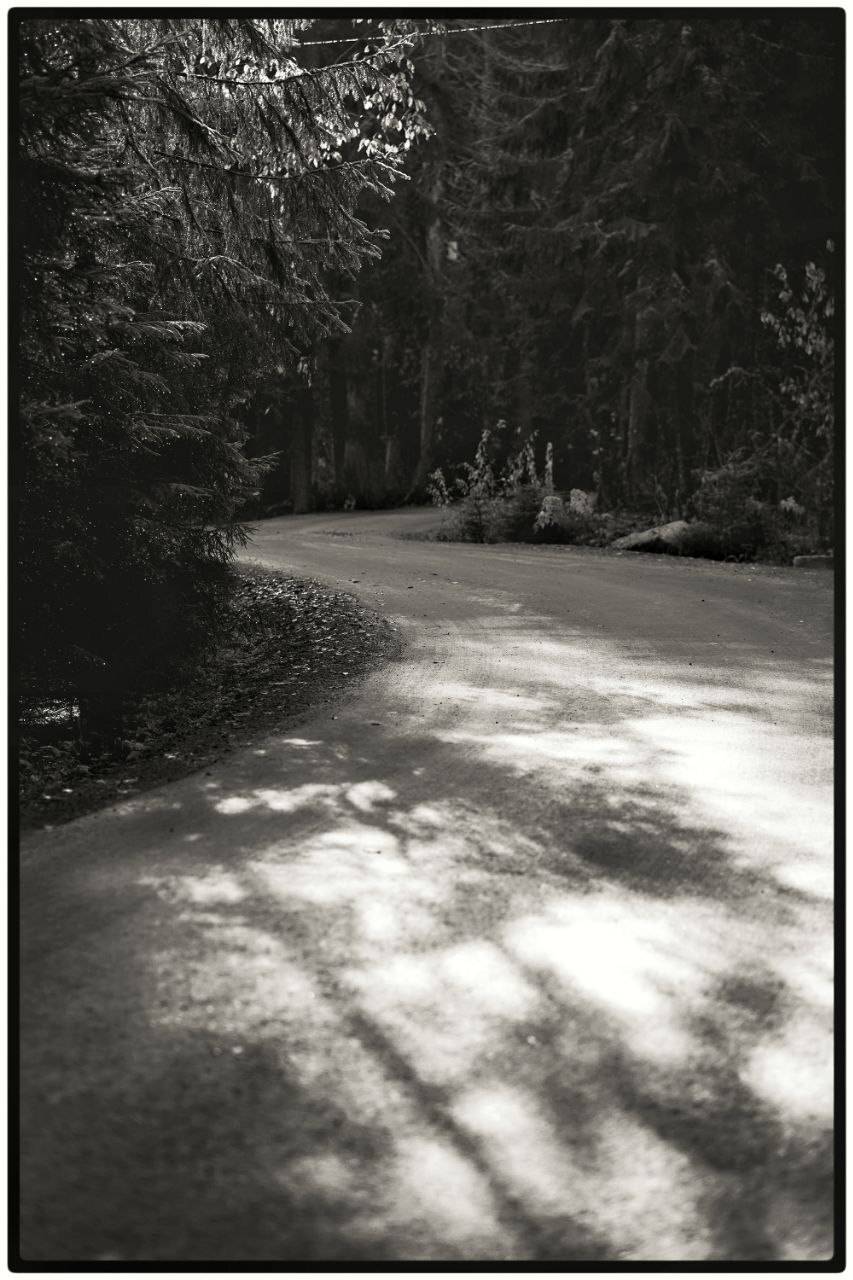 , Алёна Таланова