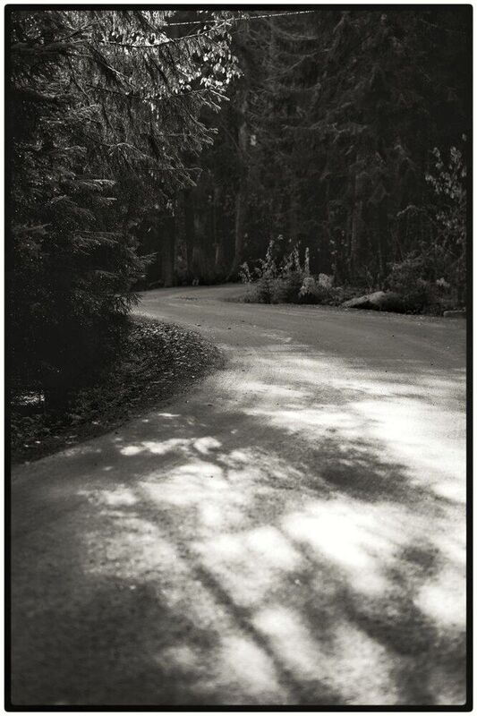 Эх, дороги фото превью