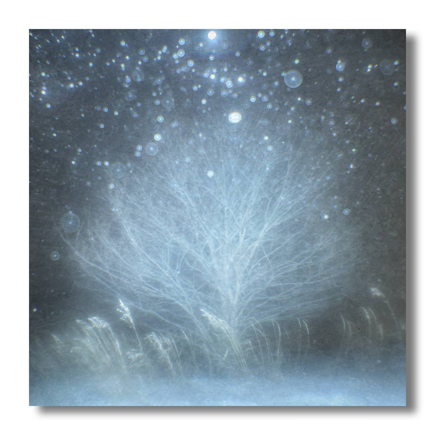 пикториализм, монокль, арт фотография, художественная фотография, пикториальный пейзаж, пикториальная фотография, русский пикториализм, современный пикториализм, Ефимов Андрей