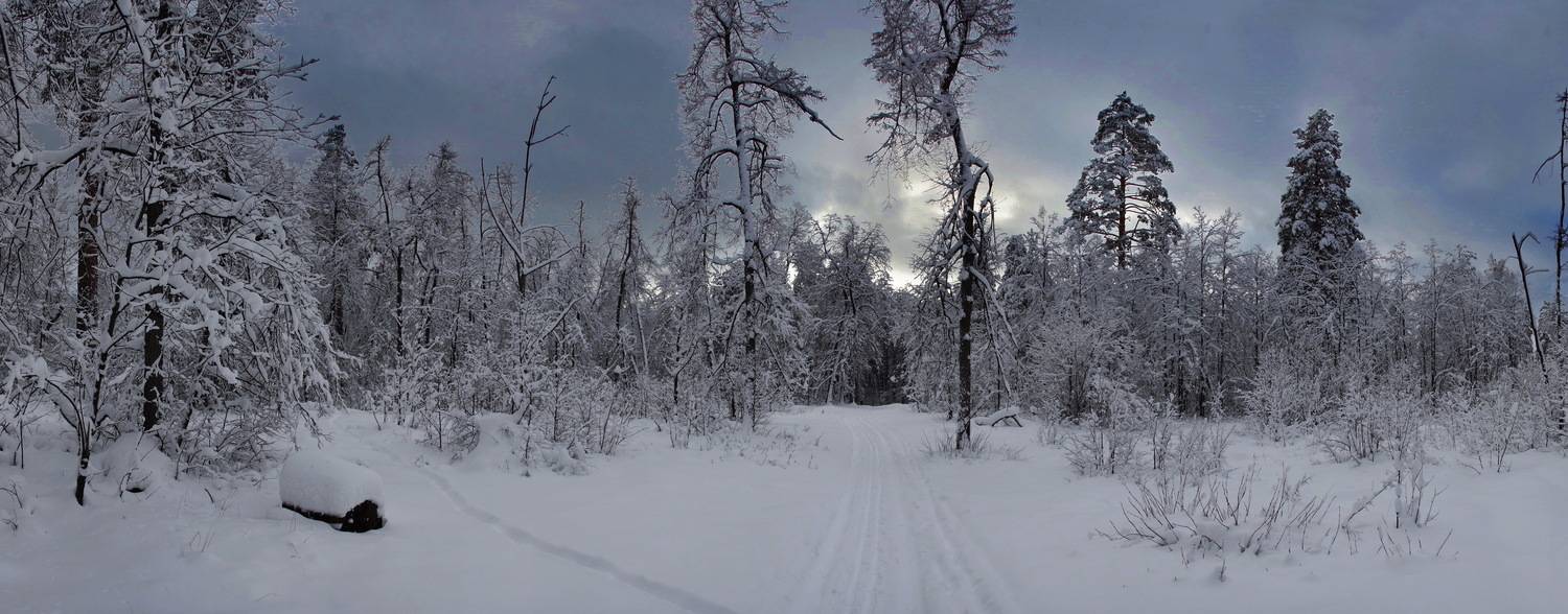 , Владимир Краснов