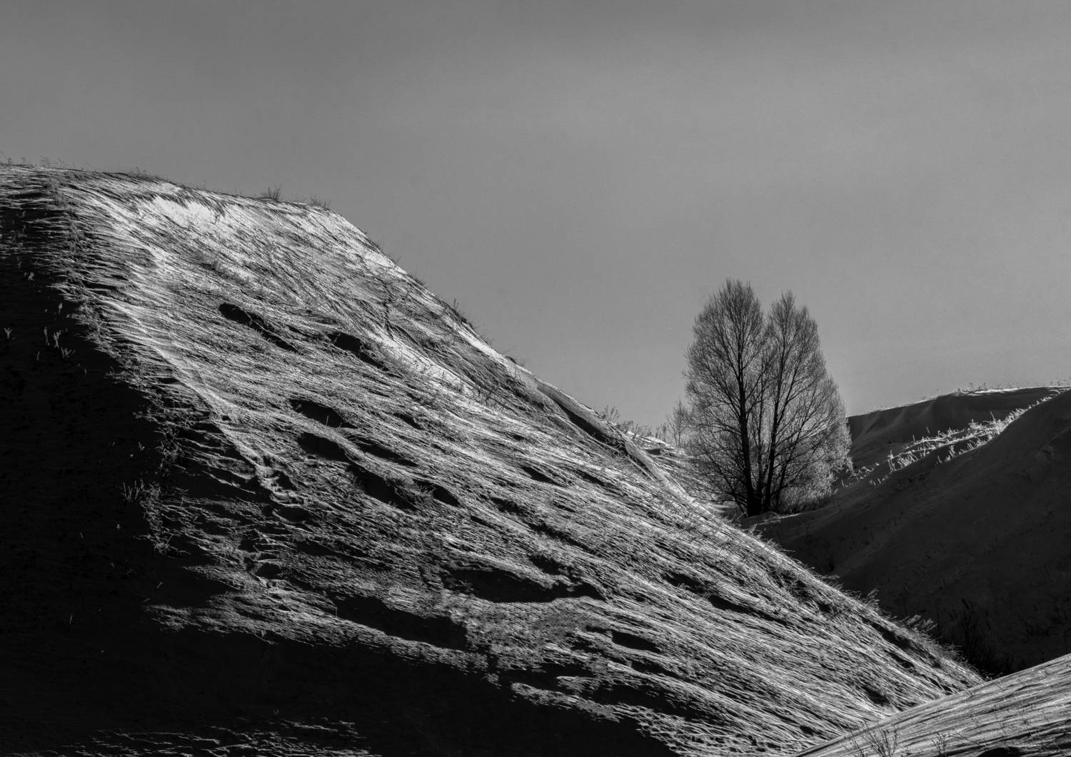 , Рыжков Роман