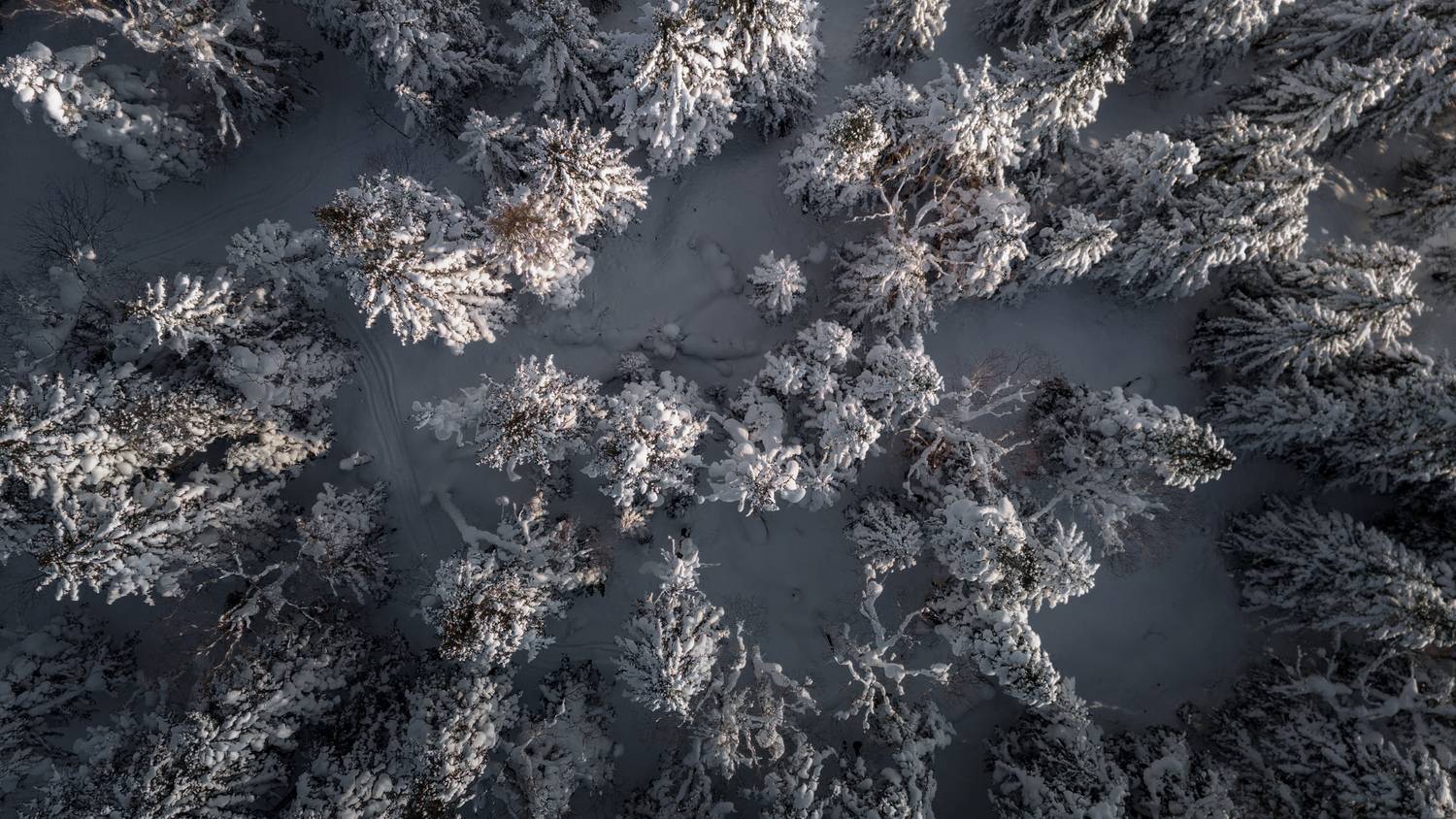 , Артем Удодов