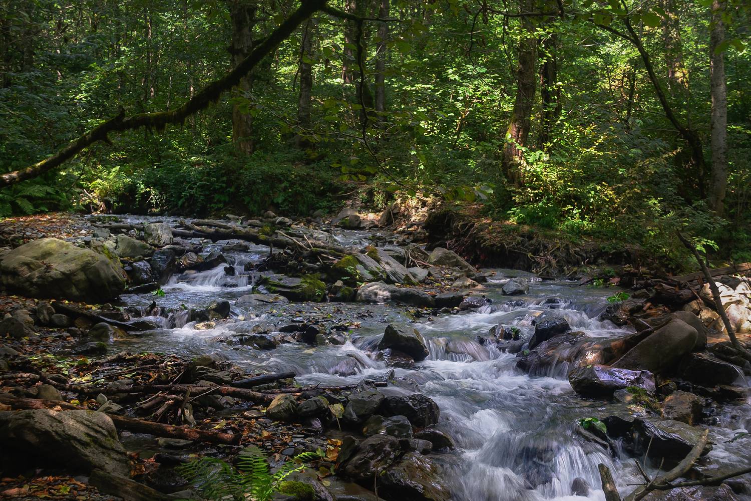, Лысенко Сергей