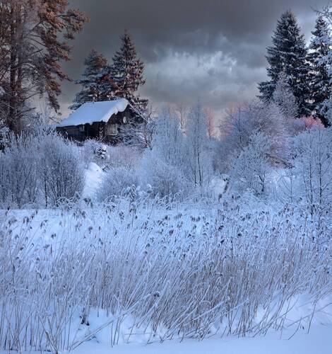 Морозное утро