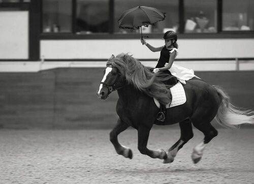 Зонтик в руке, ветер в гриве