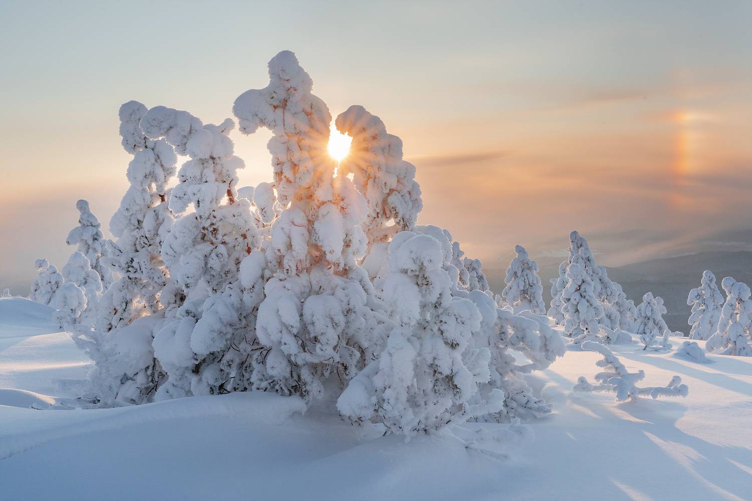 аргыджек, снег, зима, красиво, холод, мороз, деревья, иней, красноярск, Александр Нерозя