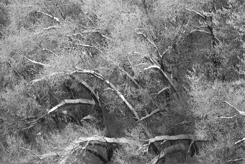 Зимняя сказка фото превью