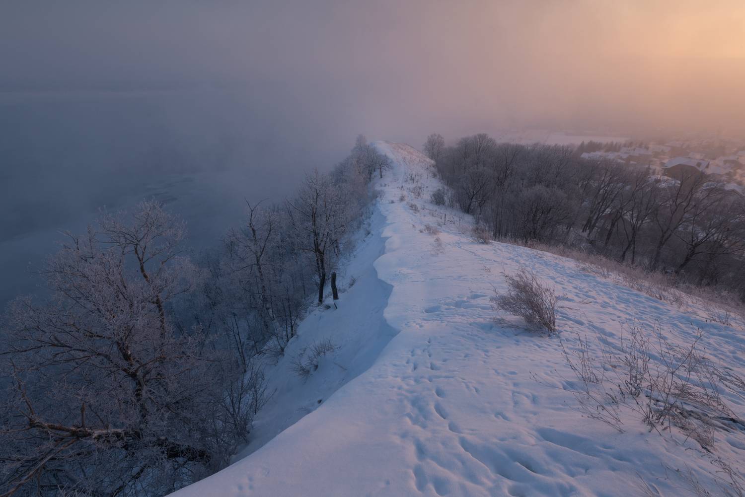 , Алексей Проняхин