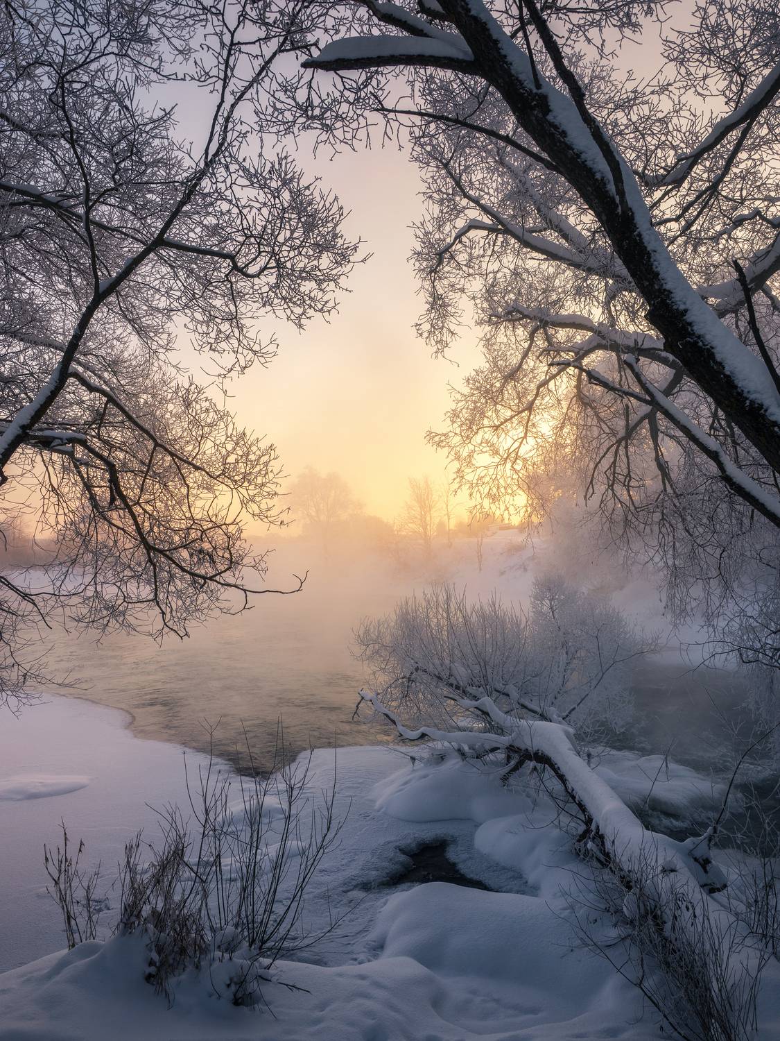 , Мозжухин Максим