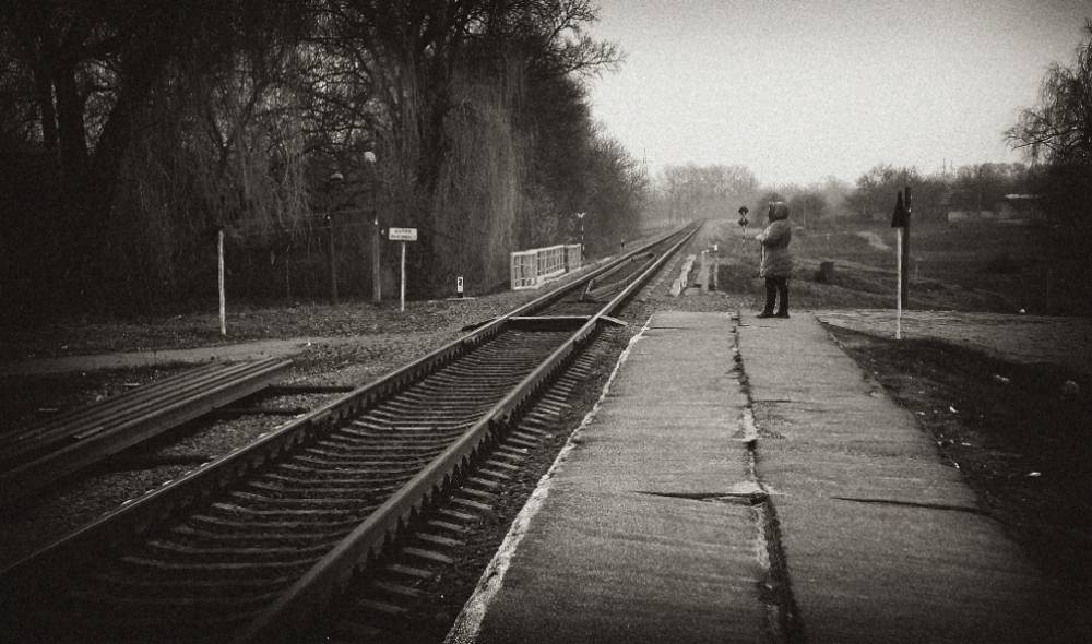 , Савоцкий Роман