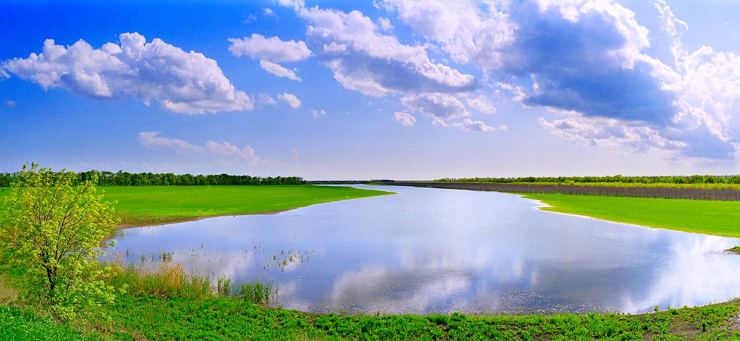 , Андрей Петросян