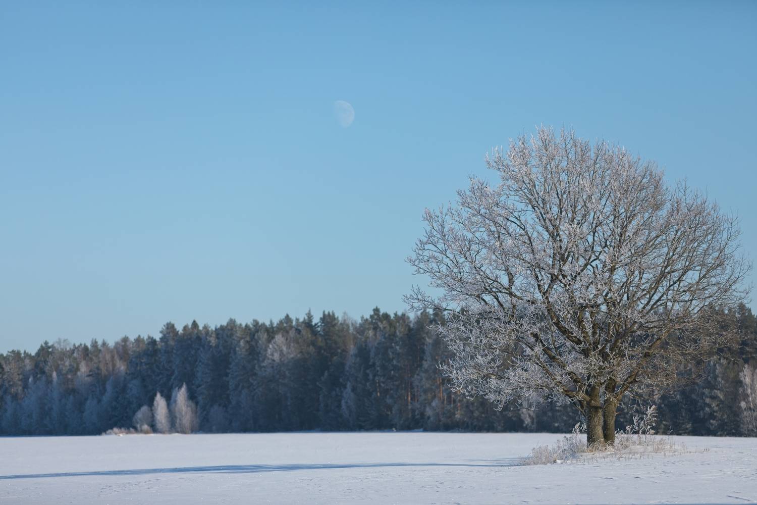 , Игорь Щербаков
