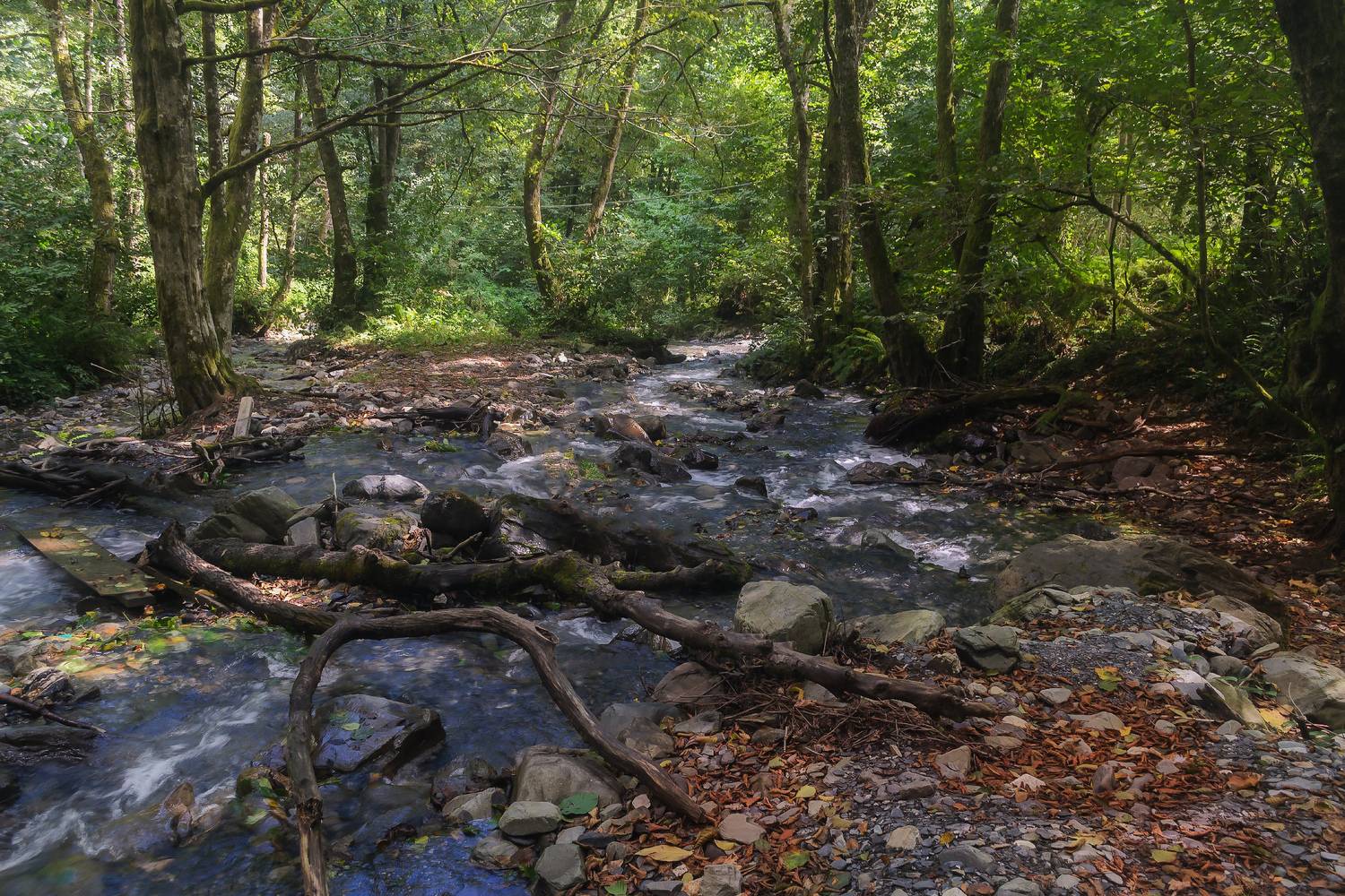 , Лысенко Сергей