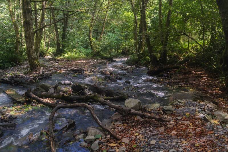 У реки. фото превью