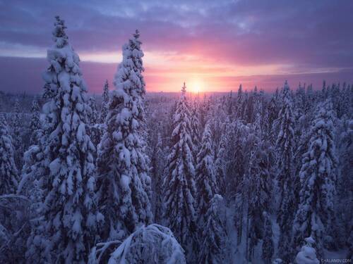 Рассвет в Коми парме