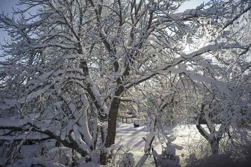 *** фото превью