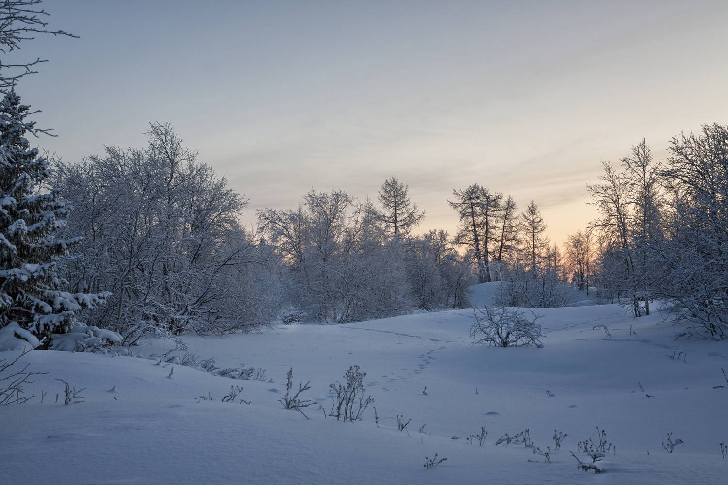 пейзаж, нарьян-мар, Чобот Василий