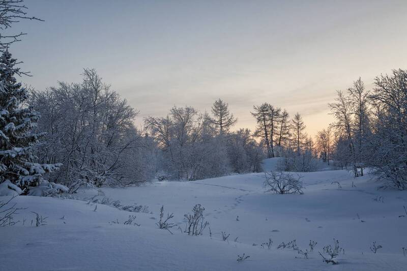 пейзаж, нарьян-мар Тишина фото превью