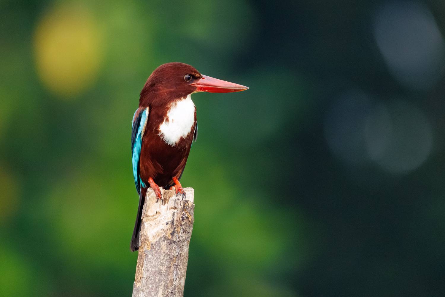 , ssmirs Сергей