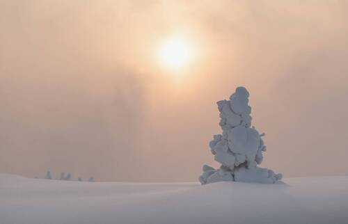 Ёлочка гномик