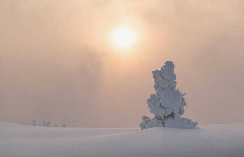 зима, закат, елочка, мороз, сибирь, красноярск Ёлочка гномик фото превью