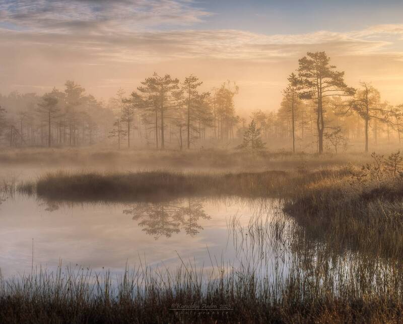 ... болотные истории ... фото превью