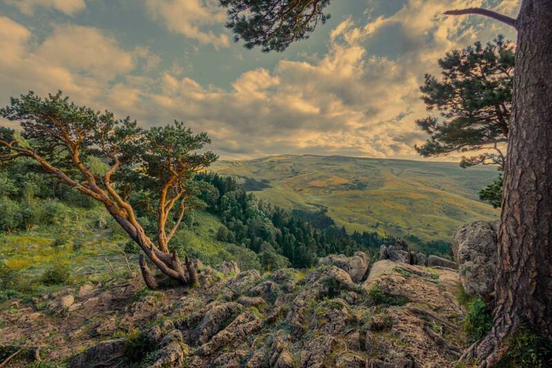 *** фото превью