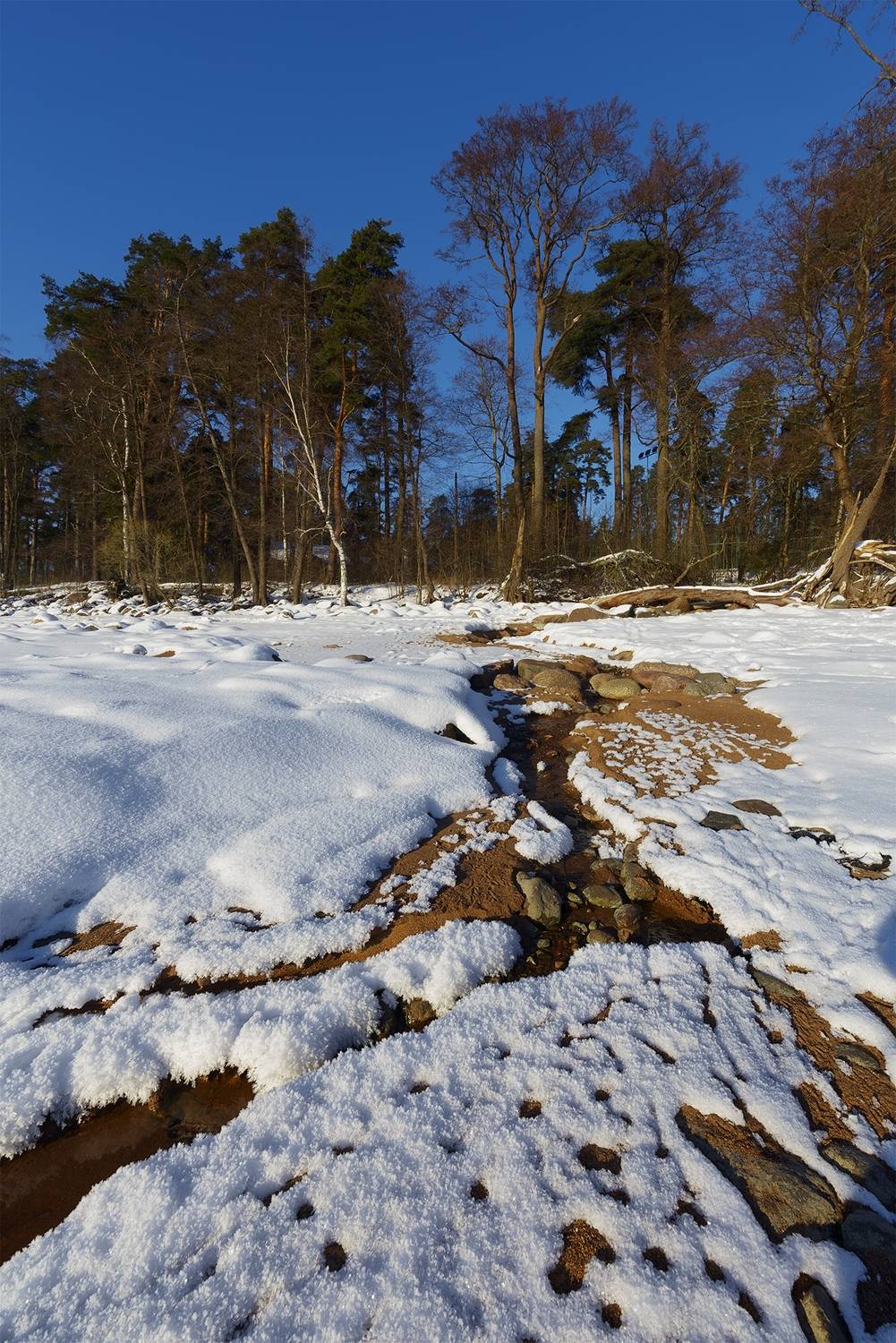 , Елена Михайлова