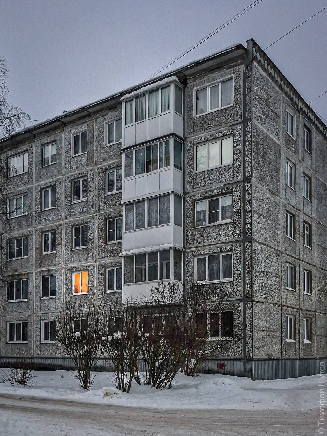 валдай, Тимофей Шутов