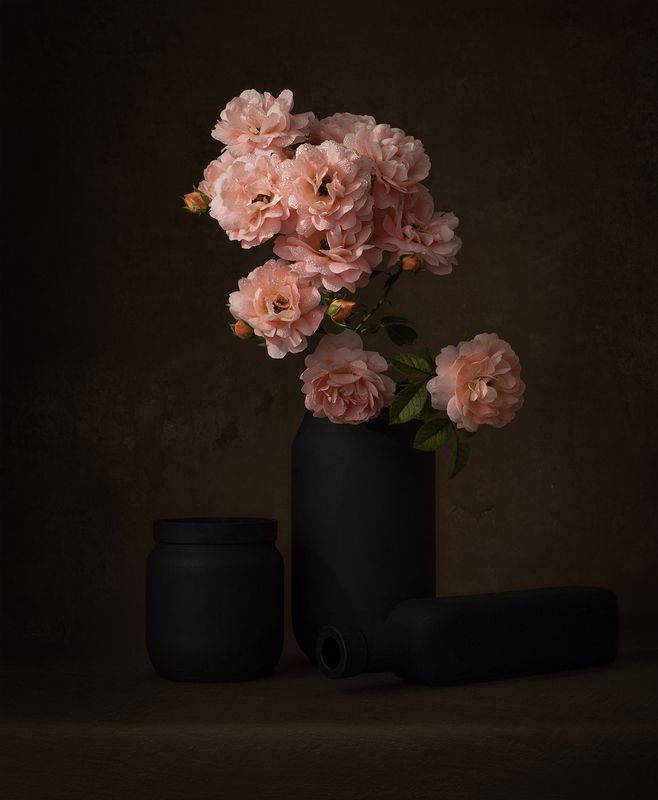 Still life, roses, colors, light, texture, flowers Roses from my garden фото превью