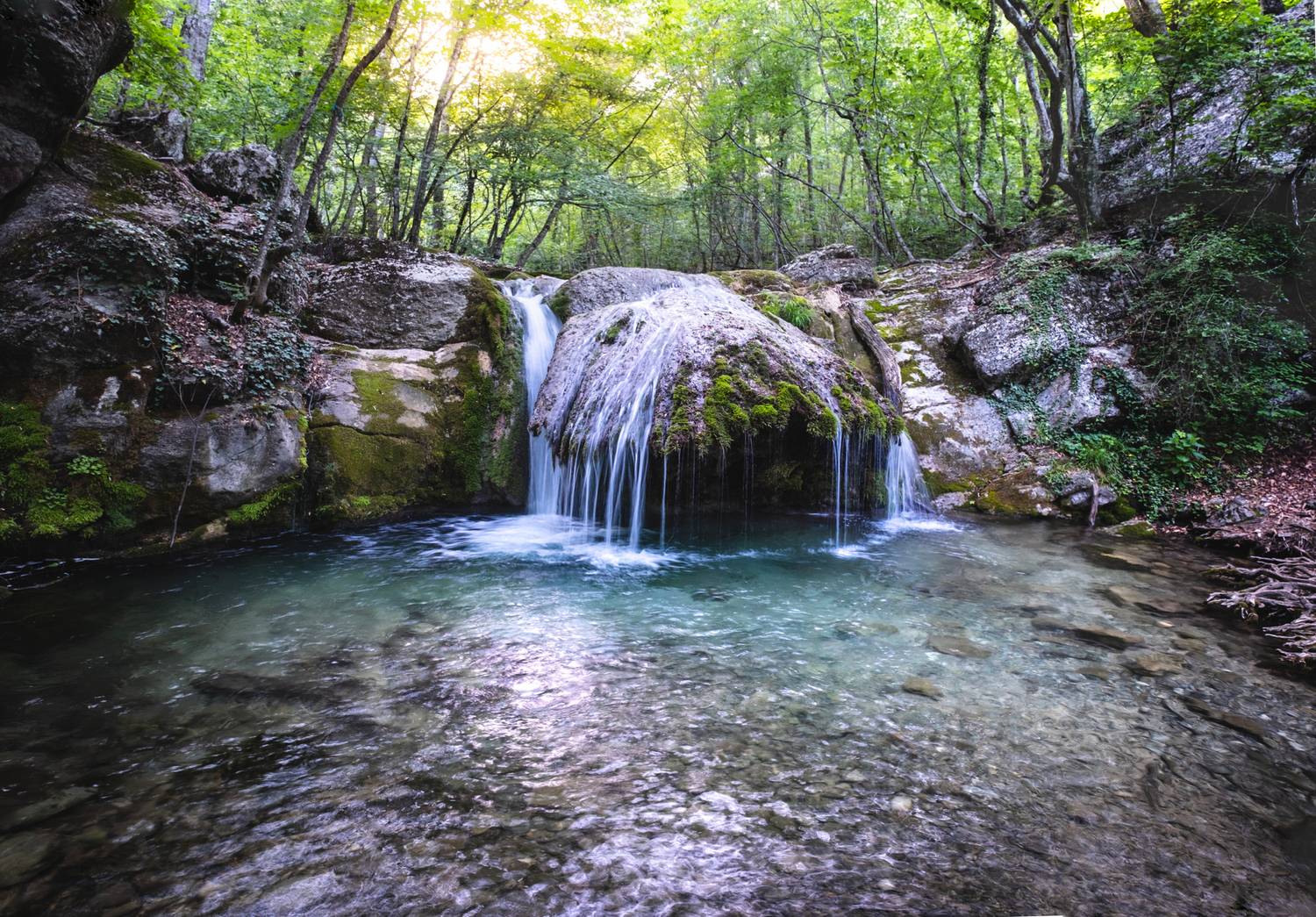 , Коротеев Вадим