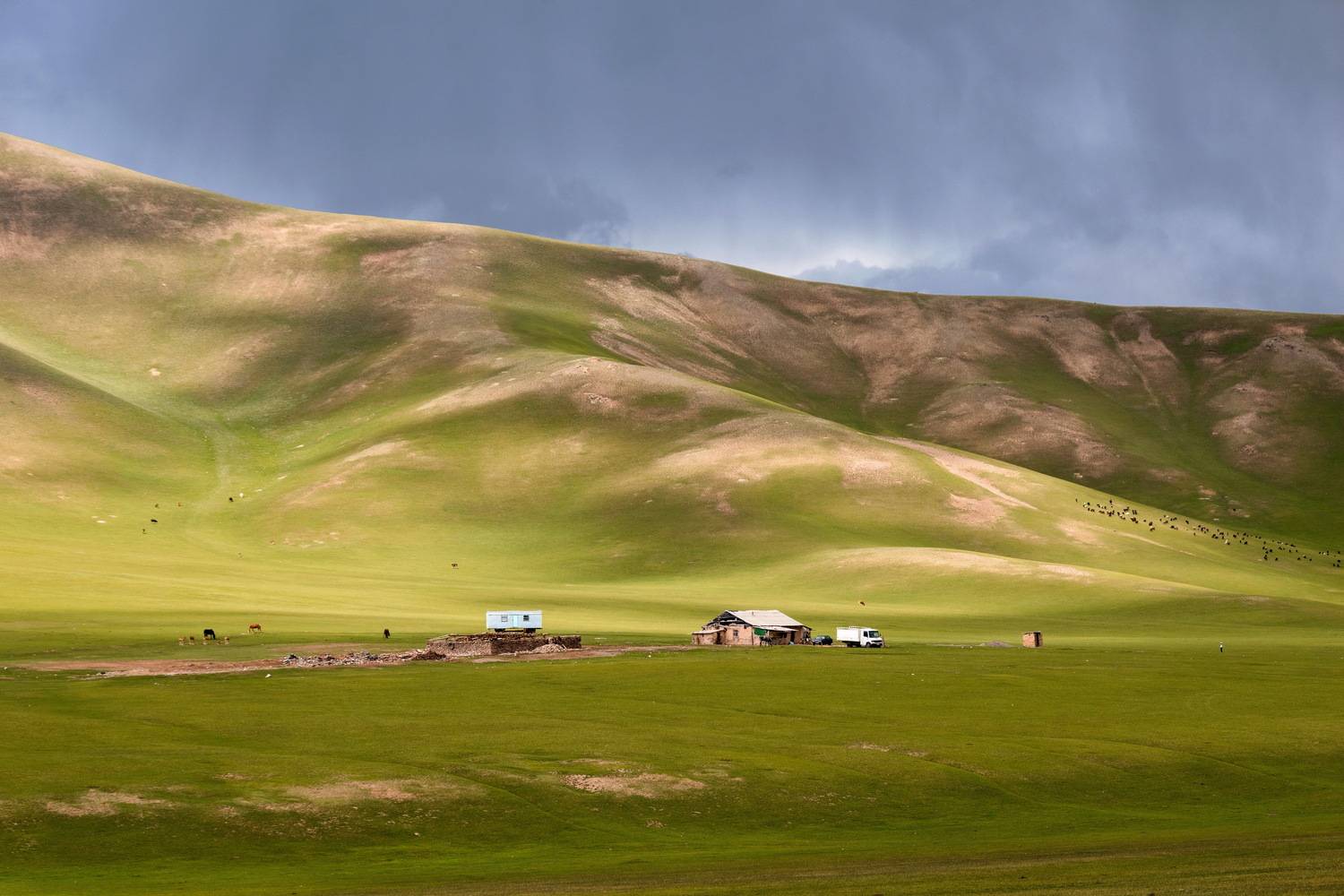 кыргызстан, тянь-шань, горы, памиро-алай, пейзаж, природа, ферма, скотина, Кетова Вера