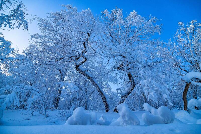 Замороженный танец... фото превью