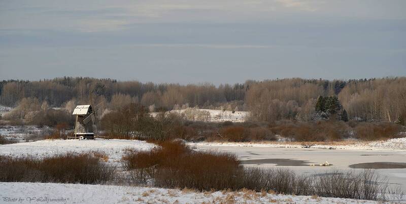 Зима в Пушкинских горах... фото превью