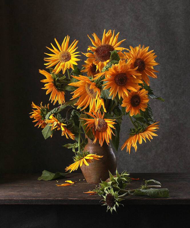 натюрморт, фотонатюрморт, still life, stillifefoto, лето, подсолнухи, ретро_натюрморт, наталья_казанцева Игольчатые. Так называю эти подсолнушки. фото превью