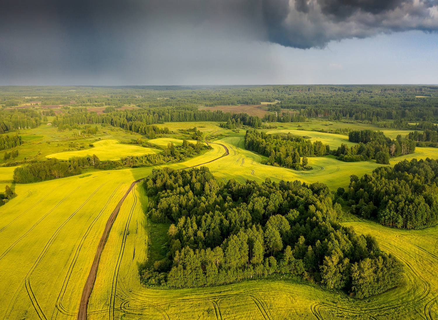 Зауралье, тюменская, свердловская, Эдуард Кутыгин
