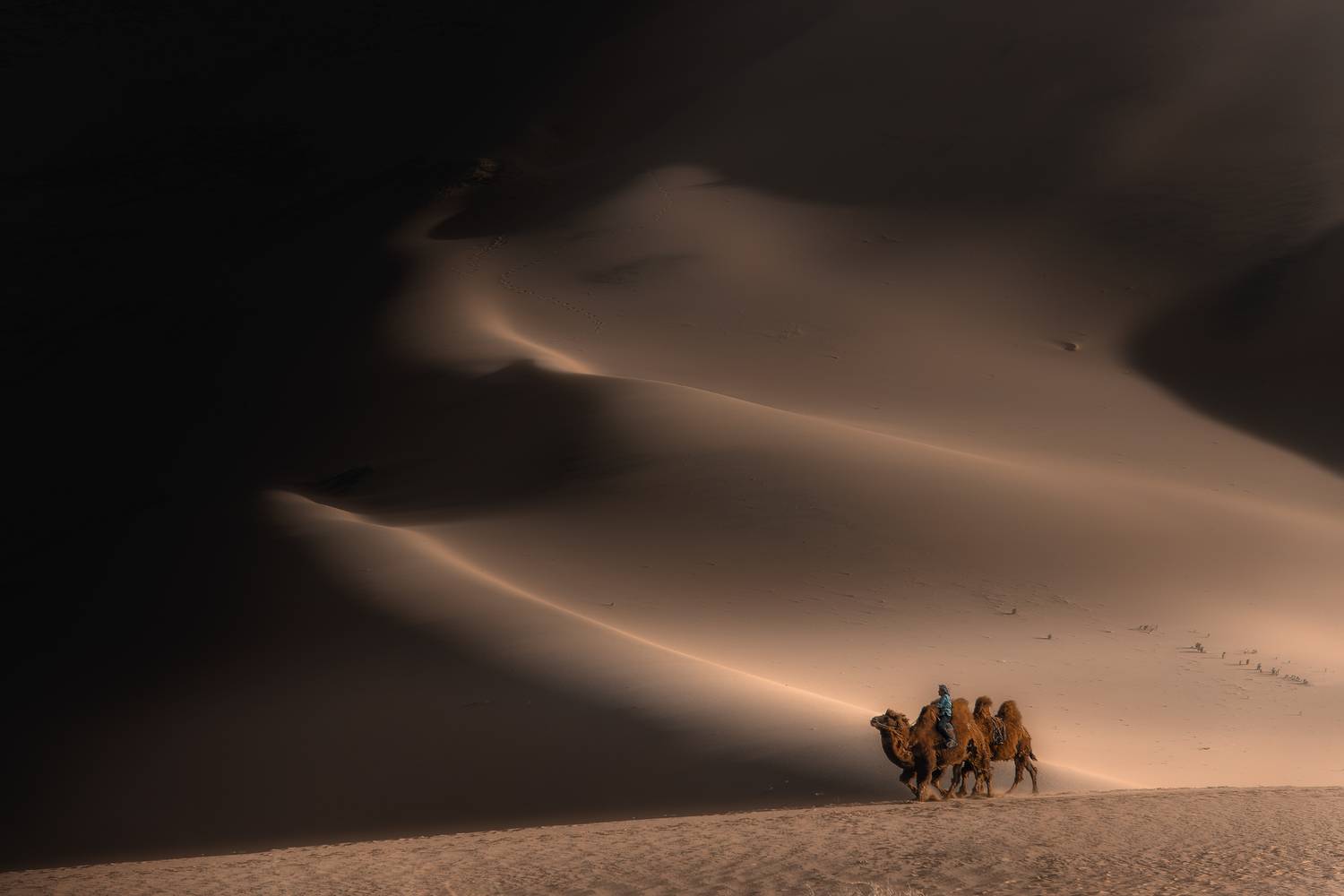 гоби, монголия, пустыня, Александр Ипполитов