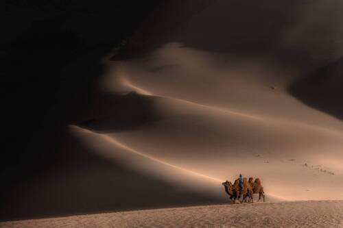 Пустыня Гоби (Монголия)