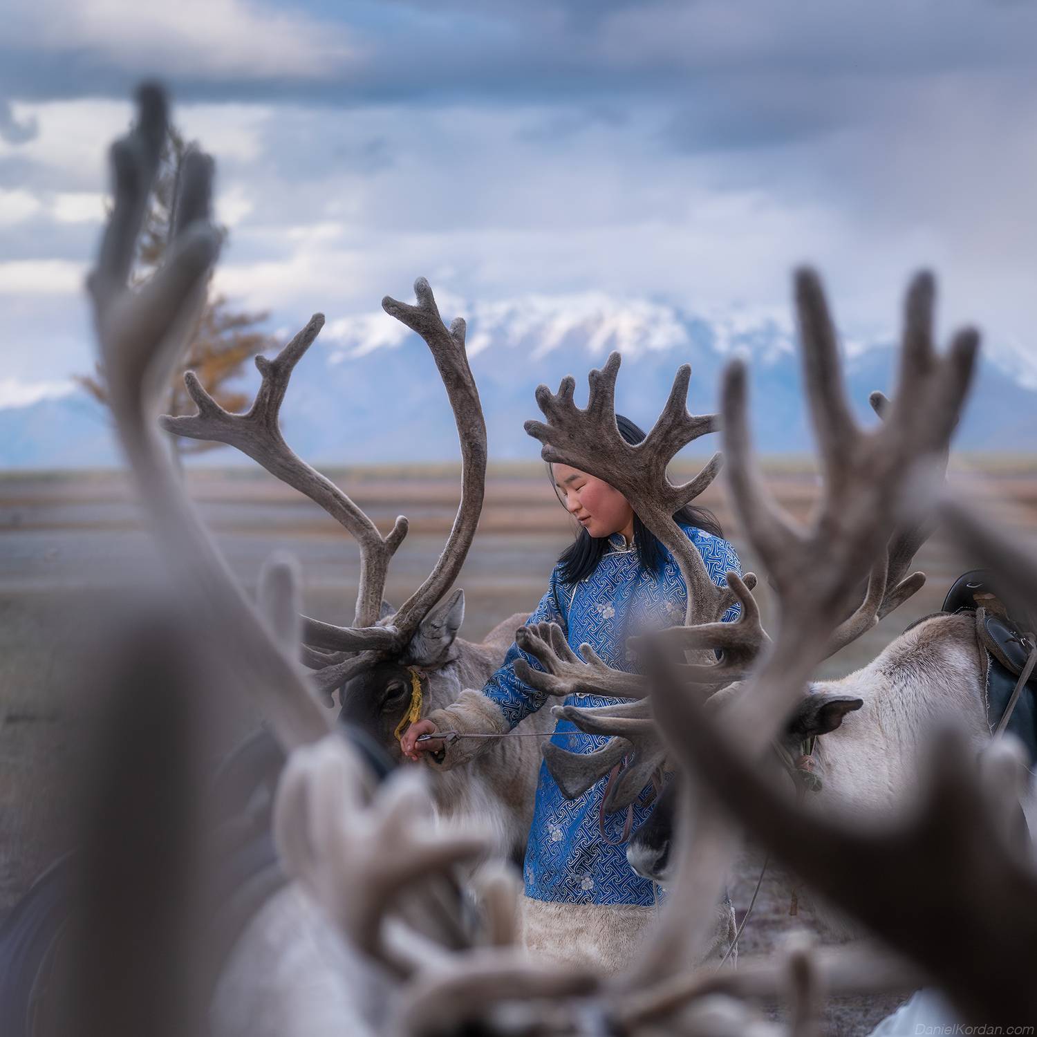 , Даниил Коржонов