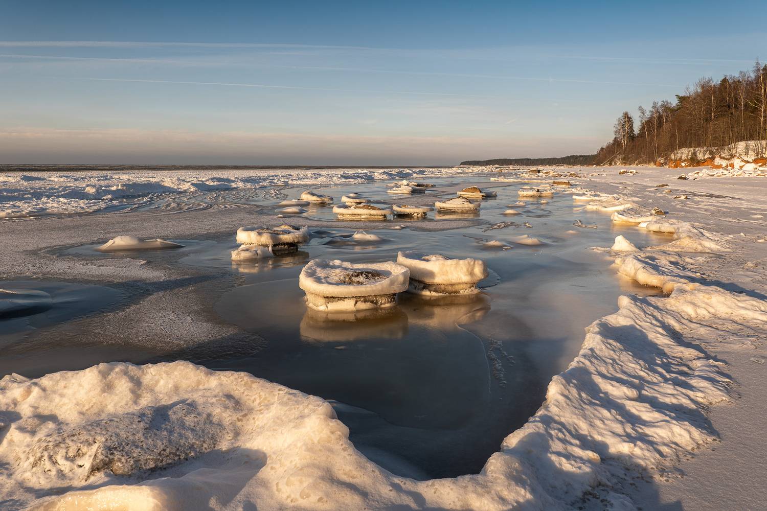 , Гордон Николай